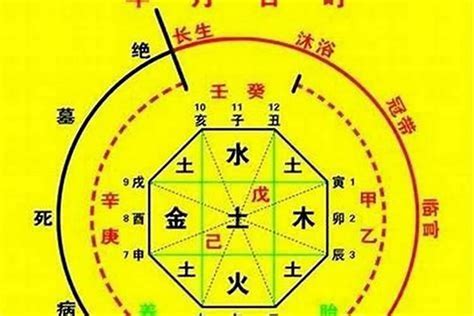 八字喜用神|生辰八字算命、五行喜用神查询（免费测算）